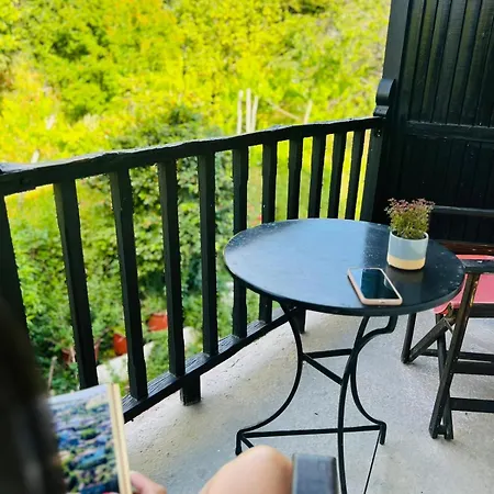 Yalla Chorefto - & Fun Otel 2*