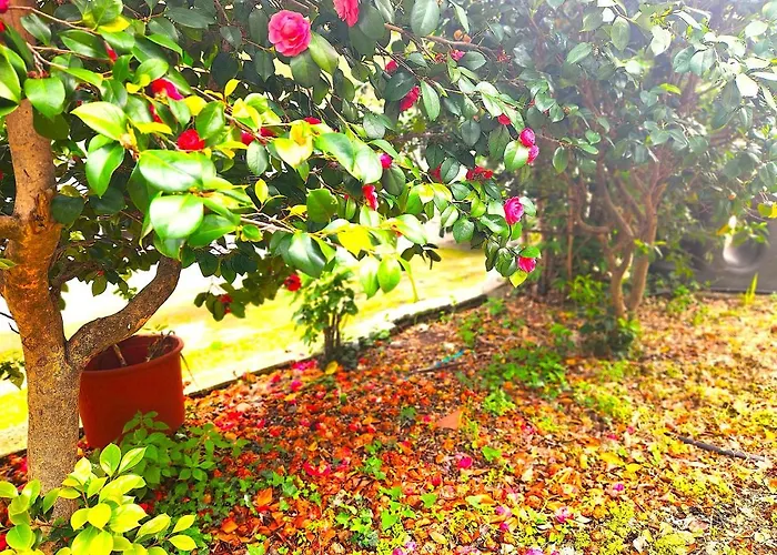 Hotel Yalla Chorefto - & Fun