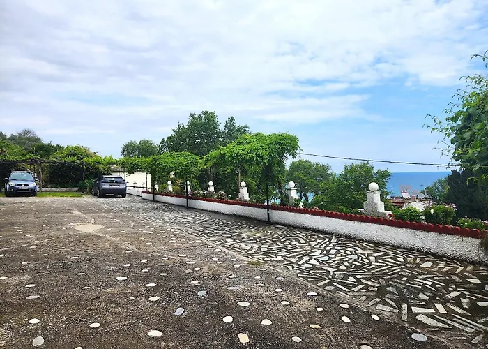 Yalla Chorefto - & Fun