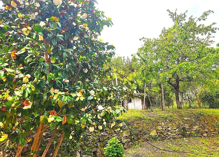 Yalla Chorefto - & Fun