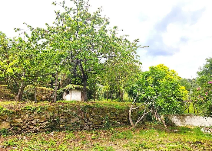 Yalla Chorefto - & Fun 2* Chorefton