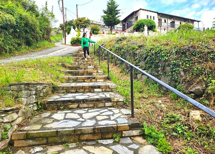 Yalla Chorefto - & Fun 2*